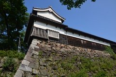 japan8622