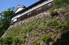 japan8623