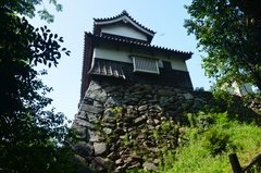 japan8625