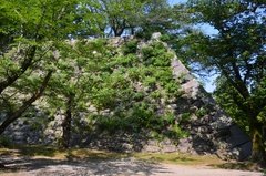 japan8626