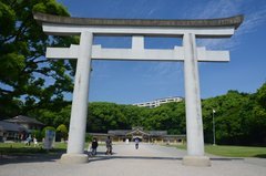 japan8637