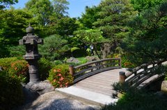 japan8639