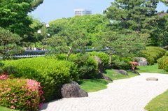 japan8645