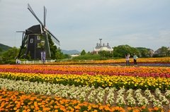 japan9012