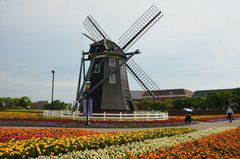 japan9014