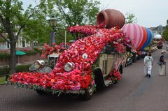 japan9061