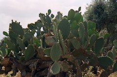 jordanie1018