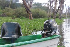 kenia2500