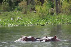 kenia2503