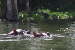 kenia2506