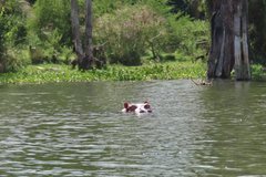 kenia2508