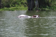 kenia2510