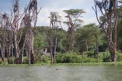 kenia2513
