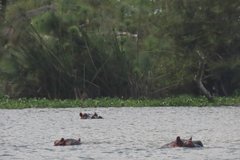 kenia2516