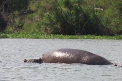 kenia2521