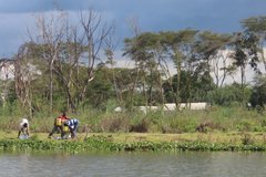 kenia2535