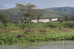 kenia2538