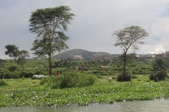 kenia2539