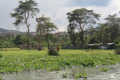 kenia2540