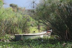 kenia2550