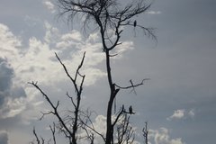 kenia2560