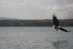 kenia2570