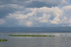 kenia2582