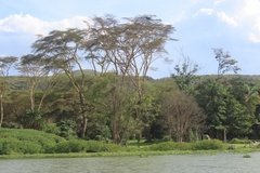 kenia2593