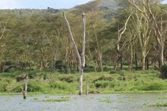 kenia2594