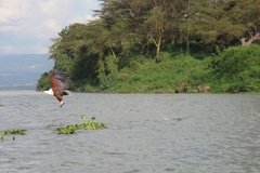 kenia2595