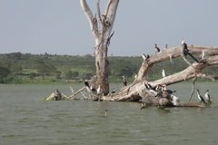 kenia2607