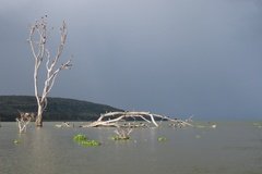 kenia2613