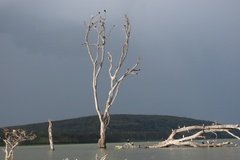kenia2615