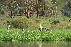kenia2622