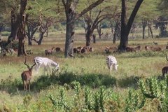 kenia3010