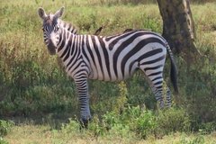 kenia3016