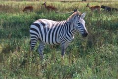 kenia3021