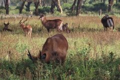 kenia3028