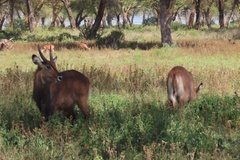 kenia3031