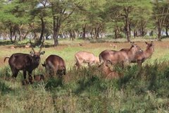 kenia3034