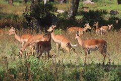 kenia3038