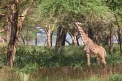 kenia3041