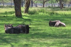 kenia3057