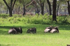 kenia3058