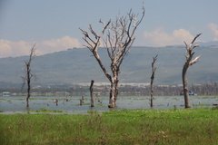 kenia3077