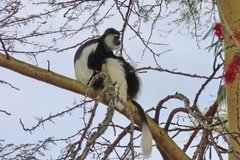kenia3506