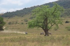 kenia4018