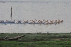 kenia4062