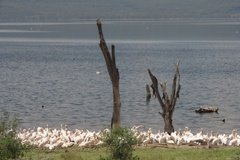 kenia4068