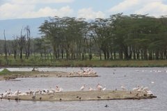 kenia4087